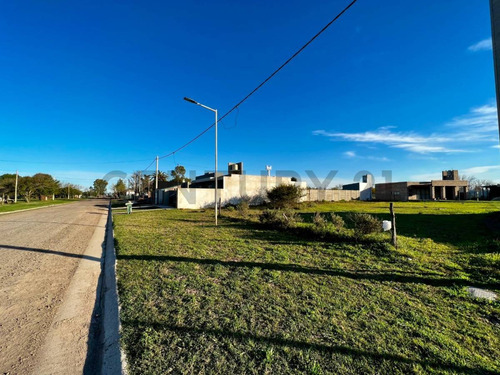 Venta Terreno 550m² En Luis Palacios
