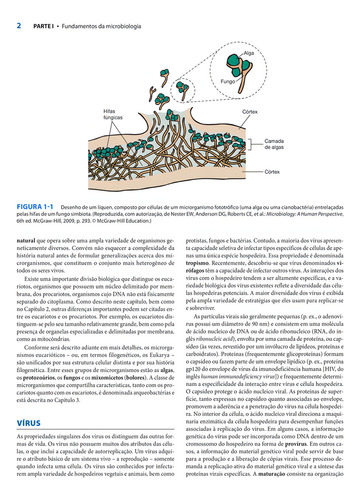 Microbiologia Médica de Jawetz, Melnick & Adelberg, de Riedel, Stefan. Editorial Amgh, capa mole em português, 2022