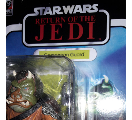 Star Wars Gamorrean Guard 40 Aniv. Rotj The Black Series 6 (Usado)