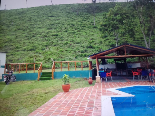 Imagen 5 de 10 de En Venta Hermosa Finca Via La Morita El Piñal