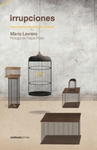 Irrupciones (nuevo) - Mario Levrero