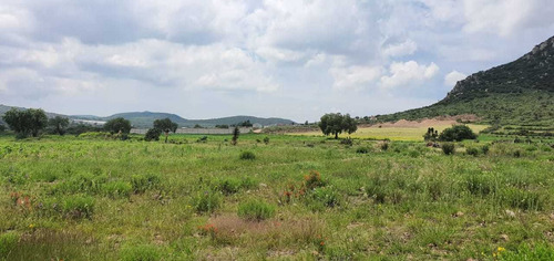 Imagen 5 de 6 de Terreno Rustico De Inversion