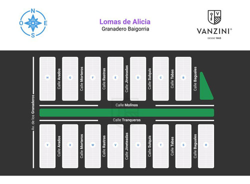 Lomas de Alicia 'Mz C