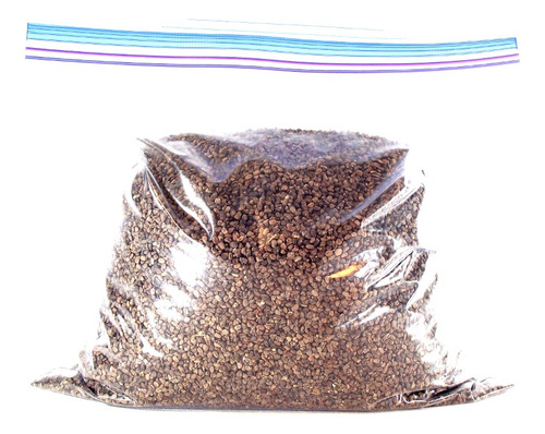 Cardamomo Semilla 1 Kg