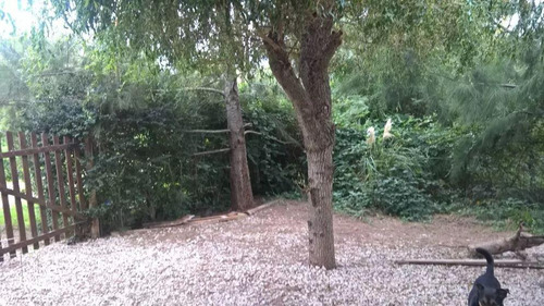 Quinta En Venta - 2 Dormitorios 1 Baño - 1,000 Mts2 - Barrio El Rodeo
