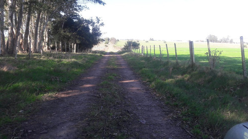 Unico Campo En Venta Con Excelente Costa A Río
