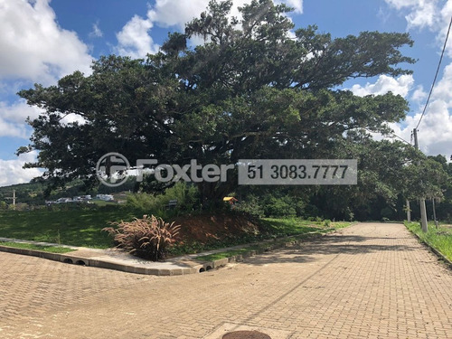 Imagem 17 de 21 de Terreno, 252 M², Campo Novo - 190385