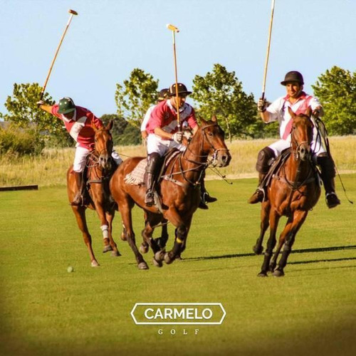Imagen 1 de 9 de Gran Lote En Venta En Carmelo Golf Sector Polo!!! Oportunidad