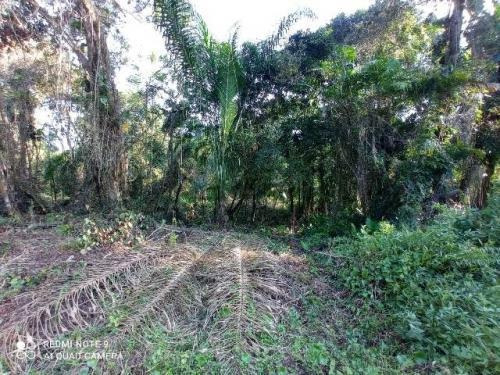 Imagem 5 de 10 de Terreno De Chácara Que Aceita 21 Mil De Entrada Itanhaém Sp