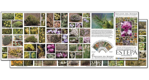 Colección Entera 9 Guías Fotog. De Naturaleza De La Patag.