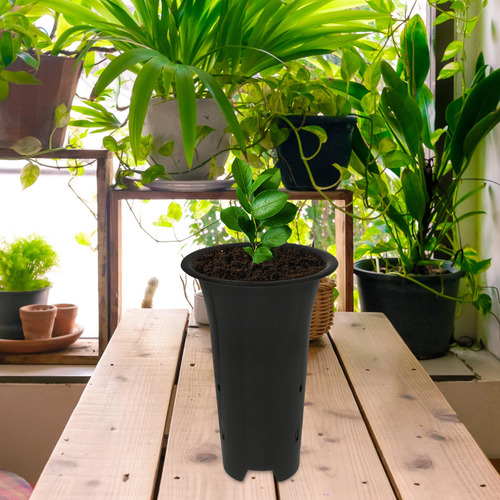 6 Macetas Altas De Plástico Con Agujeros Para Orquídeas Cac