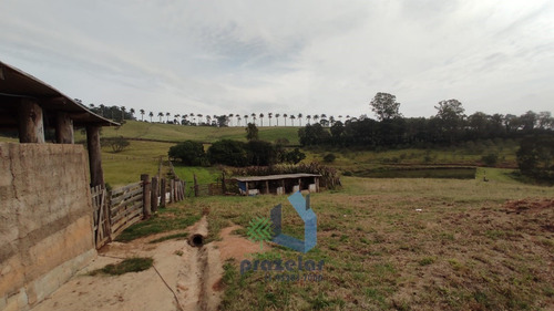 Imagem 9 de 28 de Sítio Com 05 Dormitórios Em Mairinque