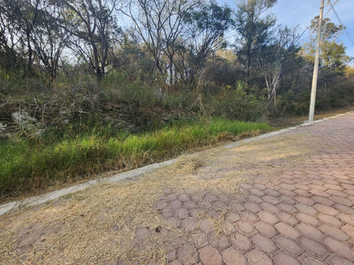 Venta Lote Gladiola 37 Con Vistas Panorámicas, Proyecto Incluído Y Todos Los Servicios Cerca De Las Amenidades De Fracc Rancho San Diego Ixtapan De La Sal Edomex