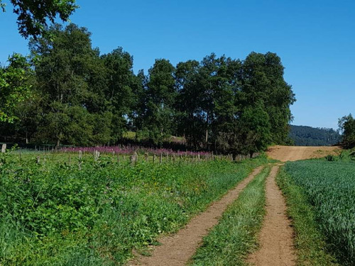 Se Vende Hermoso Campo En La Unión