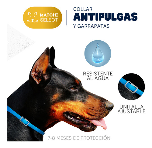 4pack Collar Antipulgas Premium