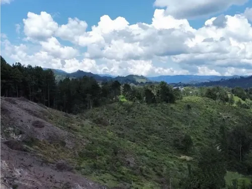 Lote En Venta El Retiro Vereda El Chuscal Via Don Diego-la Ceja