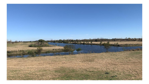 Imagen 12 de 27 de Casa Conteiner A Estrenar De 3 Ambientes Sobre Lote De 3.110 M2 Con 69 Mts De Costa Al Lago
