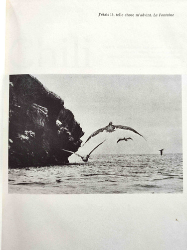 Sergio Larraín Chile 1966 Fotografías Fotolibro (Usado)