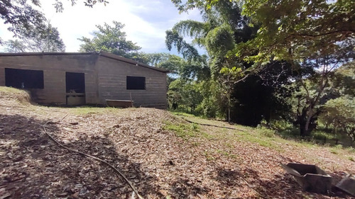 Imagem 6 de 29 de Sete Barras/14 Alq/ Lago/nascente/ac/propostas/ref;05373