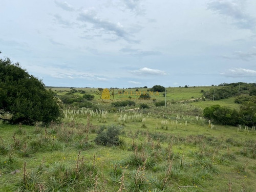 Campo En Garzon - Ideal Para Uso De Descanso - Consulte!!!!- Ref: 3606