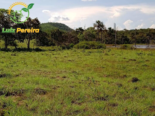 Imagem 12 de 15 de Fazenda À Venda Em Peixe -to - 1.379,4 Hectares (pecuária) - 2049