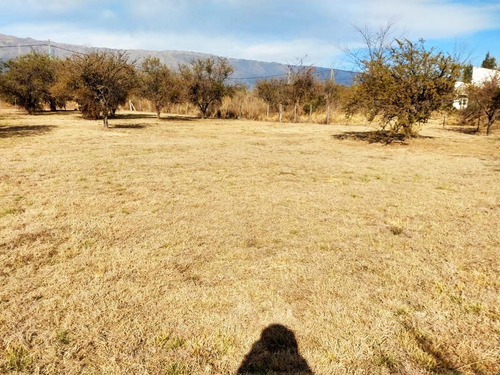 Imagen 4 de 7 de Terrenos 1000 M2 Venta Nuevo Merlo, Merlo San Luis