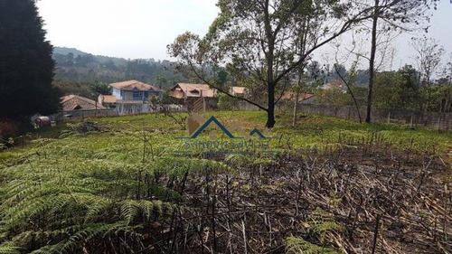 Oportunidade! Área, Na Beira Do Km 40 Da Raposo! - 92