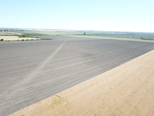 3.500 Has Agricolas Ganaderas