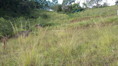Terreno Com Toda Infraestrutura No Tijuco Preto. - Te00093 - 68756113