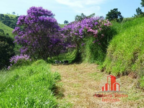 Imagem 3 de 30 de Sítio Sítio À Venda Em Taubaté/sp - 1386