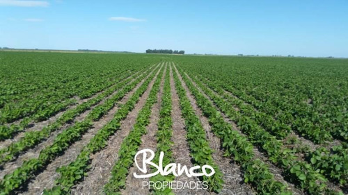Imagen 1 de 6 de Blanco Propiedades - Campo Mixto En Realicó - La Pampa