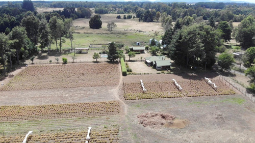 Campo Cercano A Freire