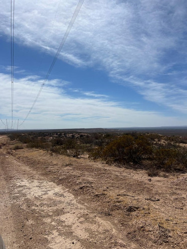 Venta Campo, Terreno, Senillosa, Confluencia, Neuquén, Añelo, Vaca Muerta, Ruta 22, Parque Industrial, Patagonia