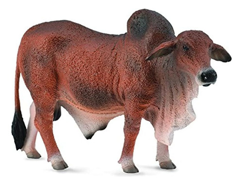 Collecta Rojo Brahman T