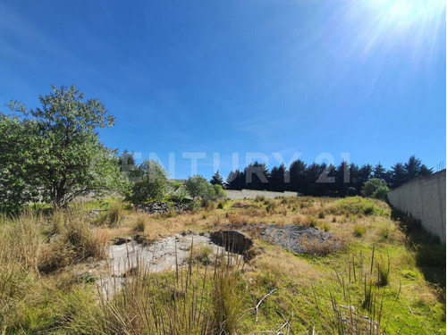Imagen 9 de 12 de Terreno Venta En Cacalomacan