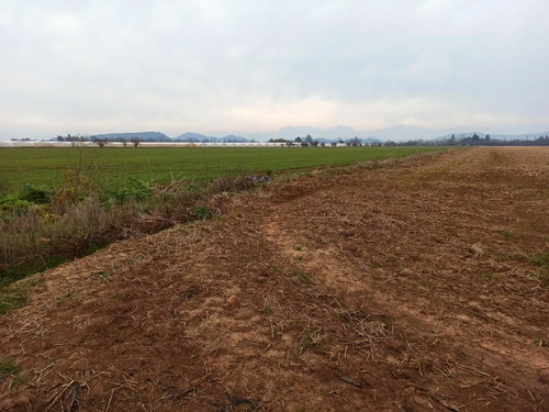 Terreno Agrícola En Venta, Campo De 21 Ha, San Clemente