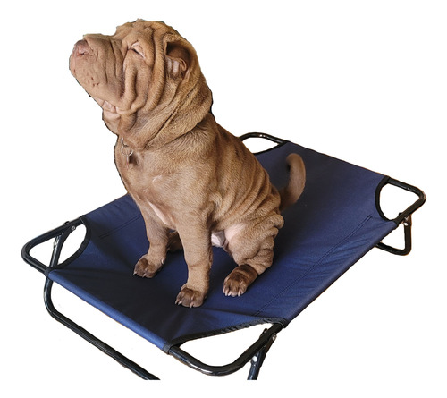 Cama Reposera Para Perros Plegable