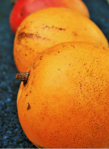 Cuadro 20x30cm Mango Fruta Sabor Comida Alimento Tragos M4