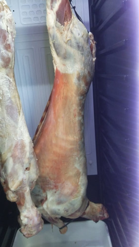 Lechones Limpios