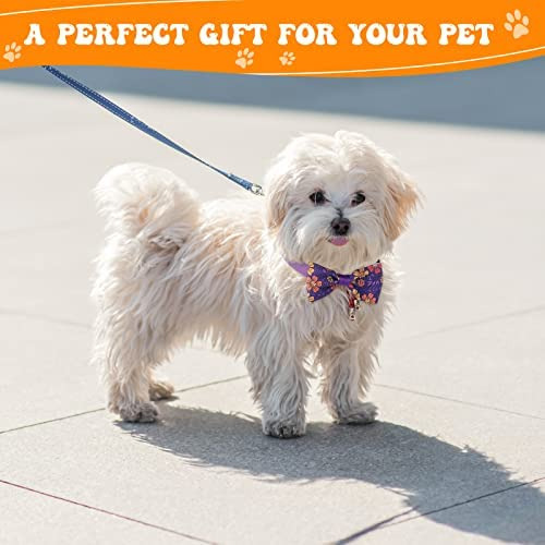 100 Piezas De Collar De Pajarita Para Perro, Incluye 40 Corb