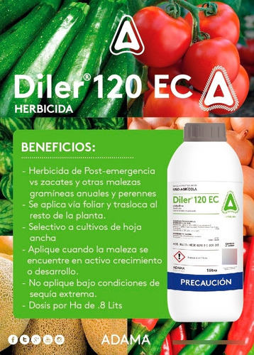 Diler (cletodime 13%) 1l Post-emergencia Para Zacates
