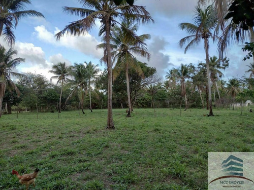 Granja A Venda Na Lagoa Do Bonfim, Nísia Floresta