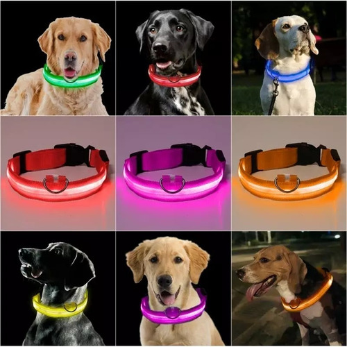Collares Led Luminosos Para Mascotas Perros Y Gatos