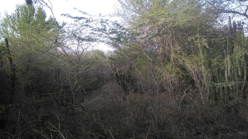 Terreno De 382,000 M2 En Bani, Prox. Carretera Sanchez