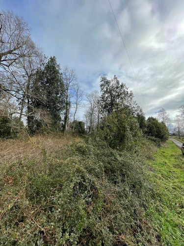 Parcela 6300m2 Arboles Nativos (105986)