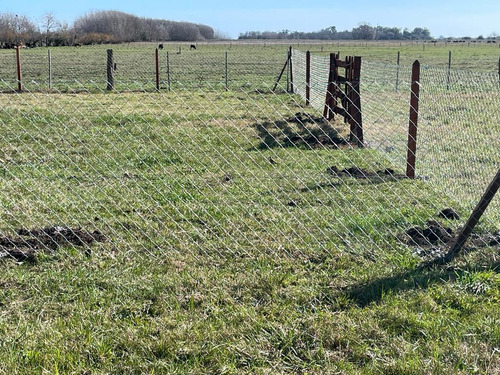 Lotes En Paraje Don Cipriano