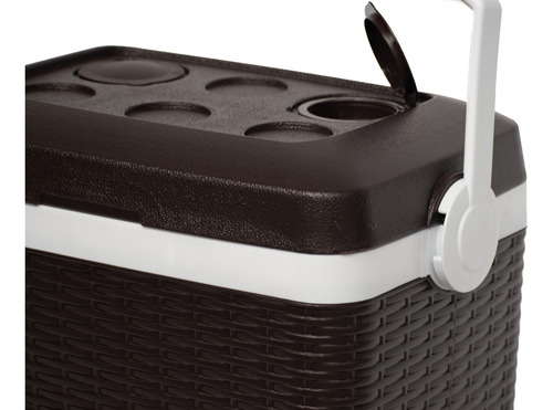 Cooler Nevera Ratan 30 Lt Cava Portatil Para Camping