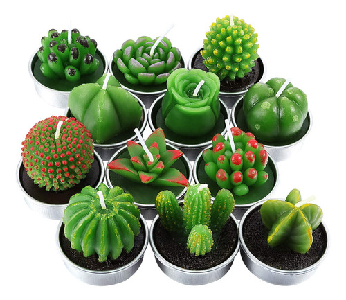12 Velas De Cactus Hechas A Mano, Delicadas Velas De Cactus