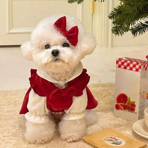 Vestido De Princesa De Navidad Para Cachorros, Conjunto De M