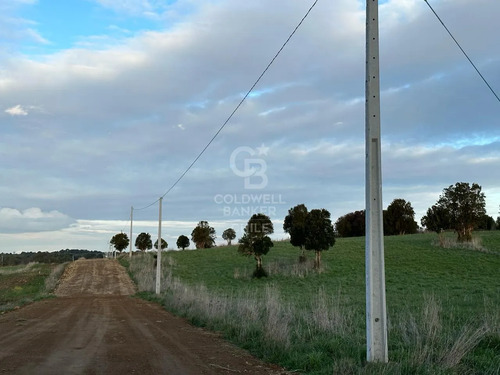 Parcelas Agrícolas En Maullín, Luz Y Agua, Acceso